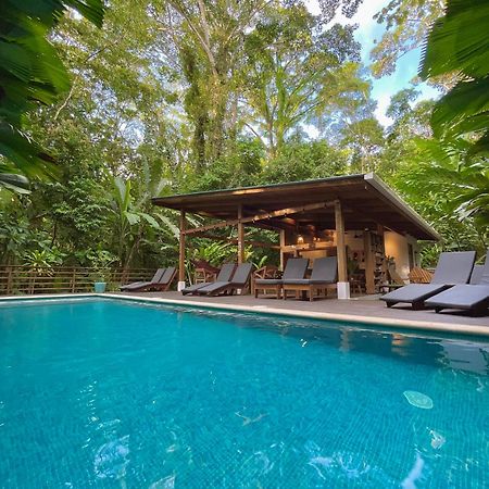 Satta Lodge (Adults Only) Puerto Viejo de Talamanca Exterior photo