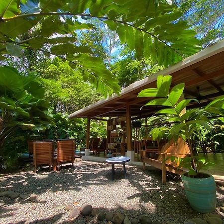 Satta Lodge (Adults Only) Puerto Viejo de Talamanca Exterior photo