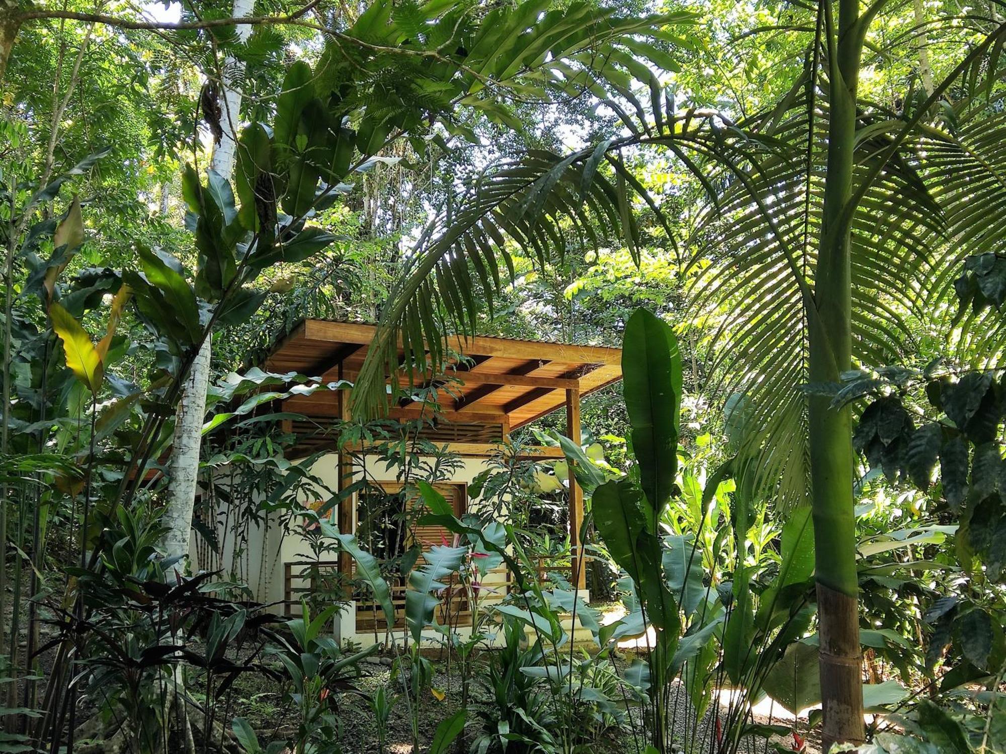 Satta Lodge (Adults Only) Puerto Viejo de Talamanca Room photo