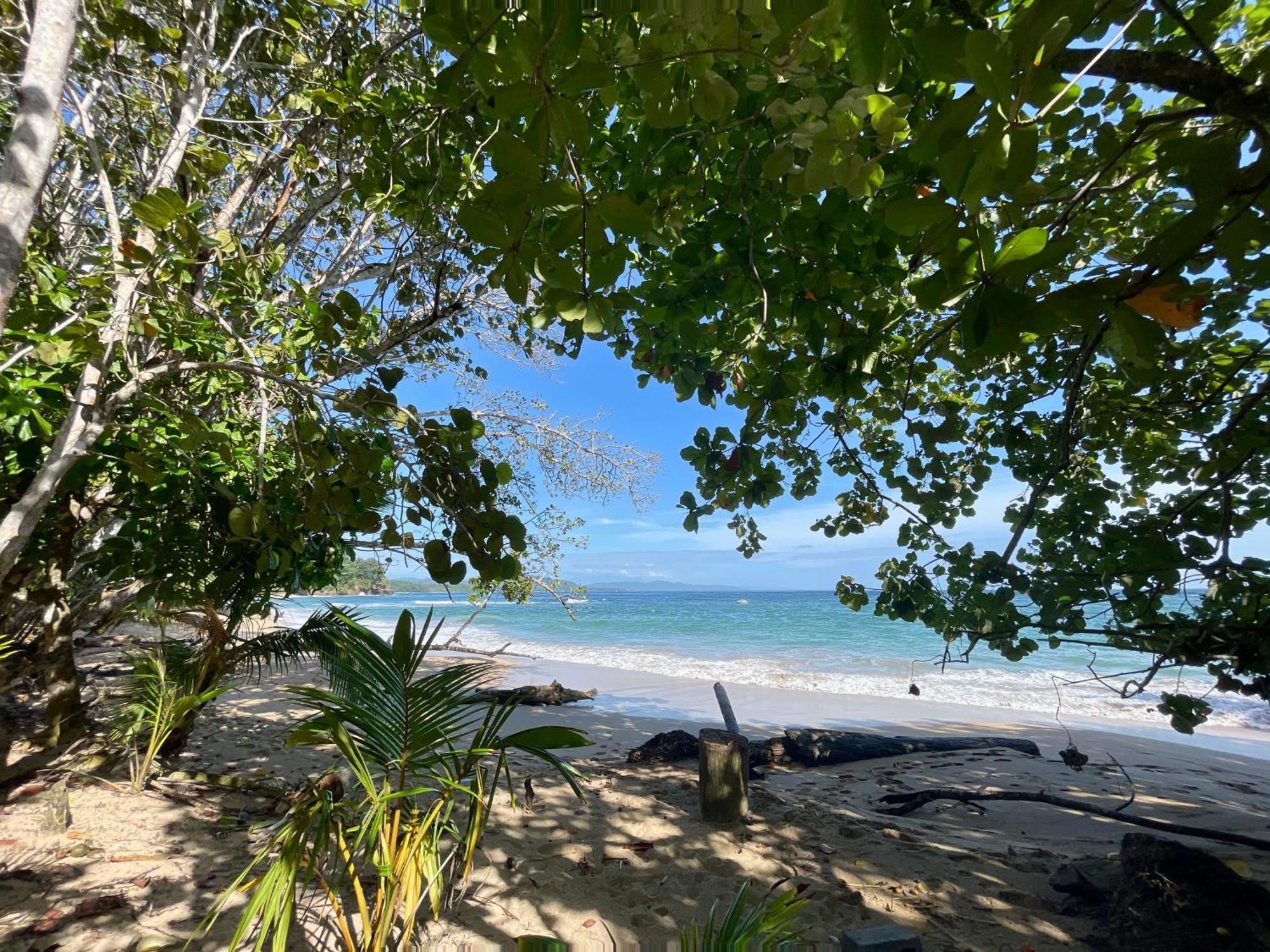 Satta Lodge (Adults Only) Puerto Viejo de Talamanca Exterior photo