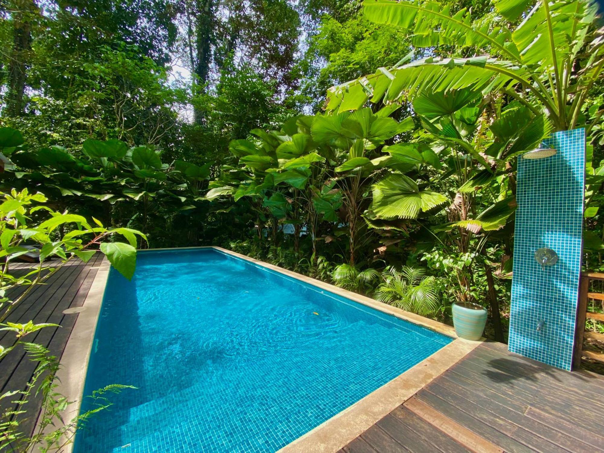 Satta Lodge (Adults Only) Puerto Viejo de Talamanca Exterior photo